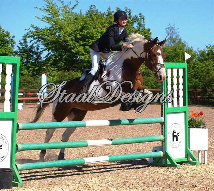 Anden særlig race Bakkegårdens Monique billede 11