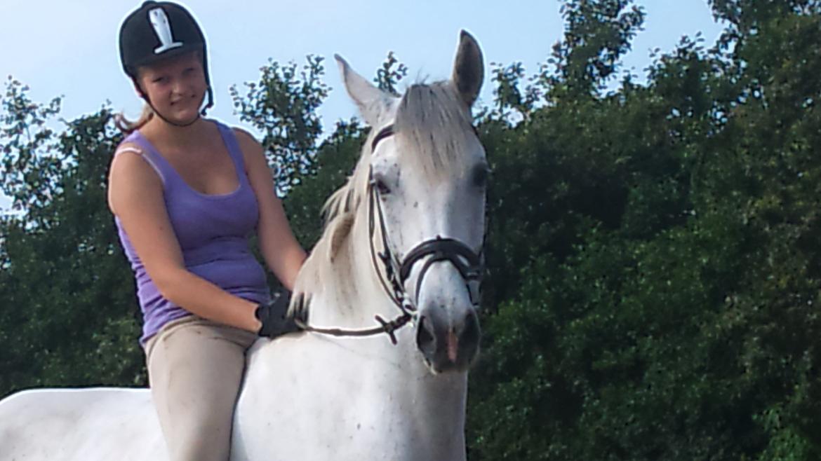 Hollandsk Varmblod Sandro boy!<3 billede 11