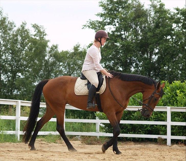 Traver Komet Lund billede 5