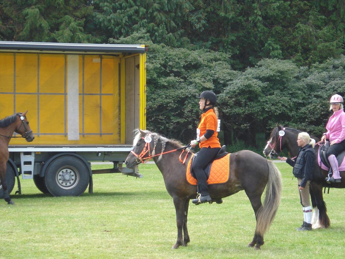 Islænder Sina från Östergård - Smukke Sina i orange - wow hvor hun bare klæder ALT... billede 10