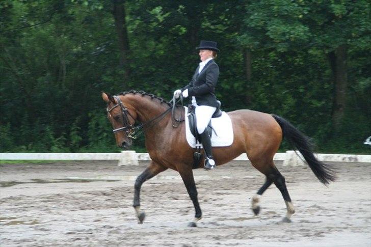 Dansk Varmblod Ørevadbros Chloe - SOLGT - Chloe og jeg i MB1  billede 20