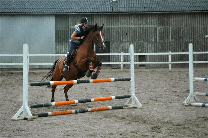 Anden særlig race Jack - D. 24 august billede 11