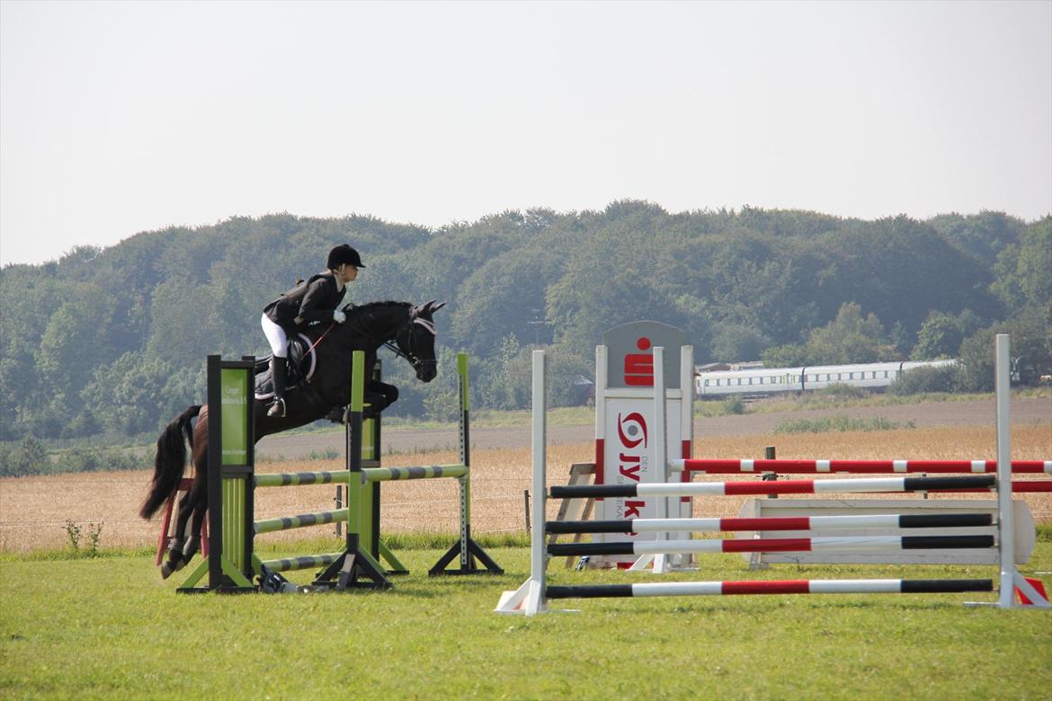 New Forest Holmens Casina - Uff, den pony kan hoppe! Foto: Lykke Godskesen billede 8