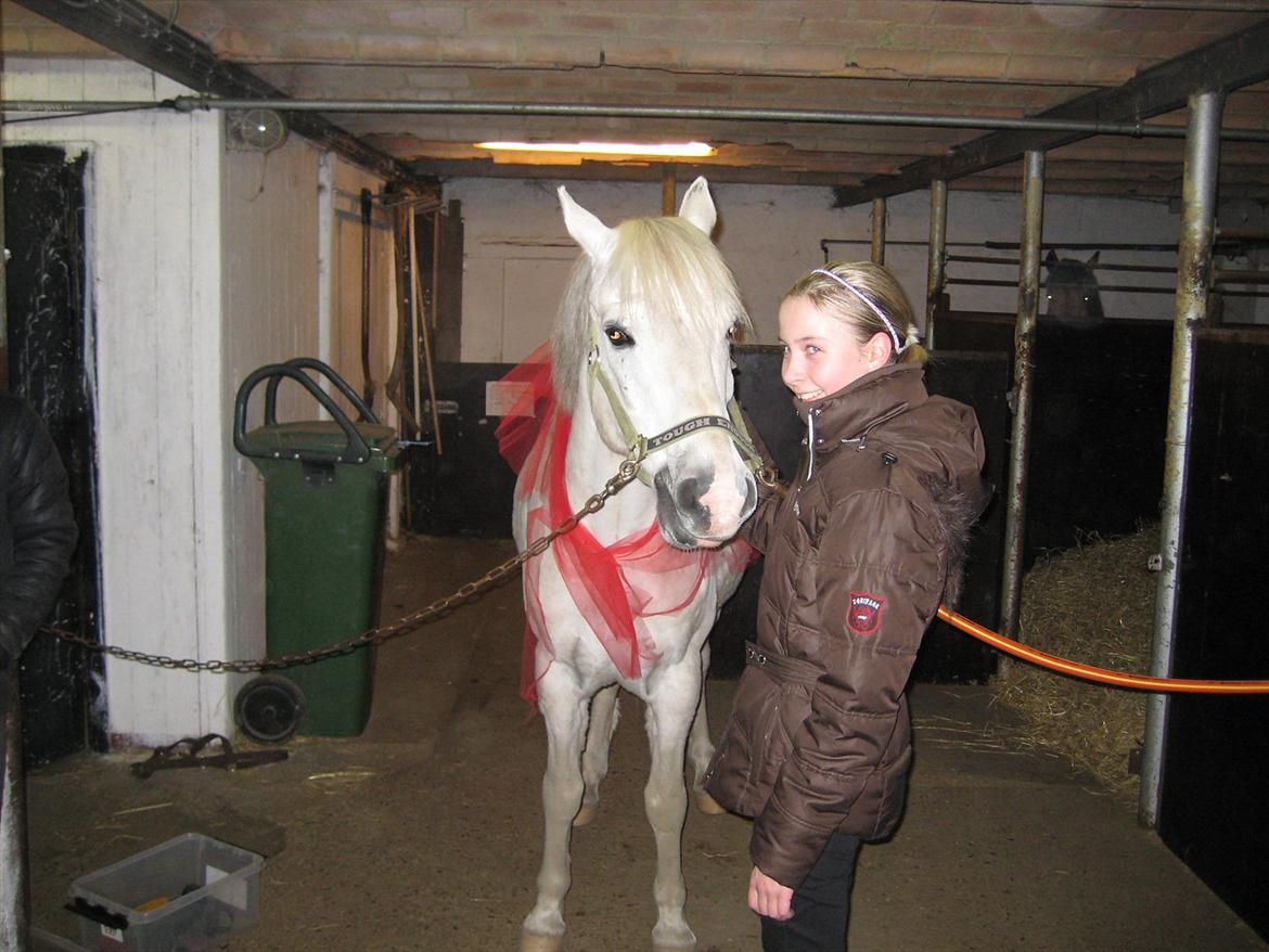 Anden særlig race Toby - Toby der hvor jeg fik ham ;D
Den 29 marts 2011!<3
En af de bedste dage i mit liv!:-D billede 12