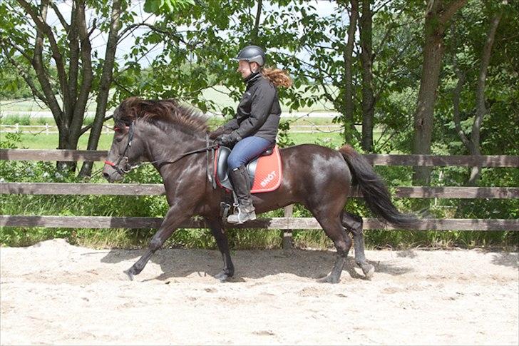 Islænder Snót fortvadbjerg - Dejlig galop stor og med opspring.
Foto: Jacob Hogue billede 10