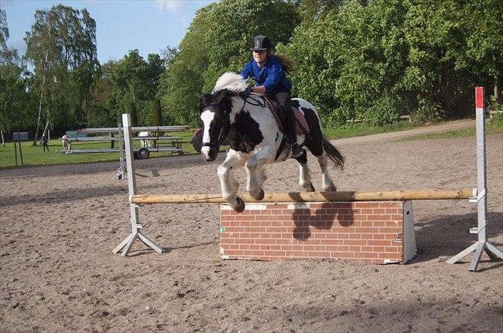 Irish Cob Mars <3 | Mit liv. <3 |  - Du tar mig tættere på himlen <3 billede 17