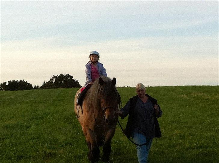 Belgier Odin(Nils Tjer-Rildmoseg) - Datteren min på Odin. billede 20