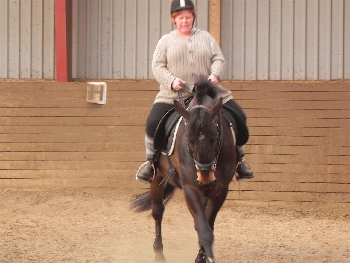 Oldenborg Prince billede 14