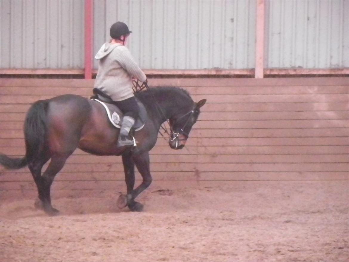 Oldenborg Prince billede 15