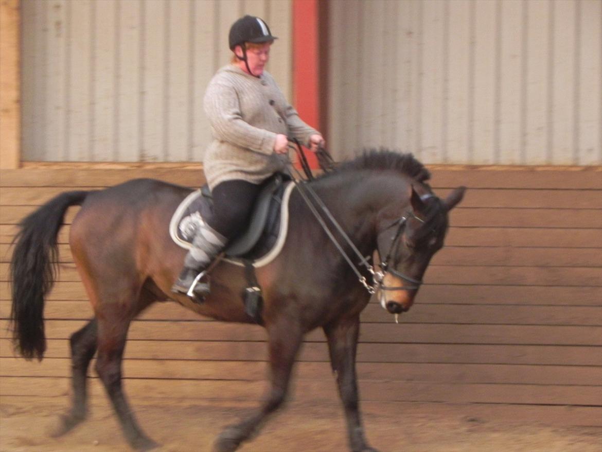 Oldenborg Prince billede 16