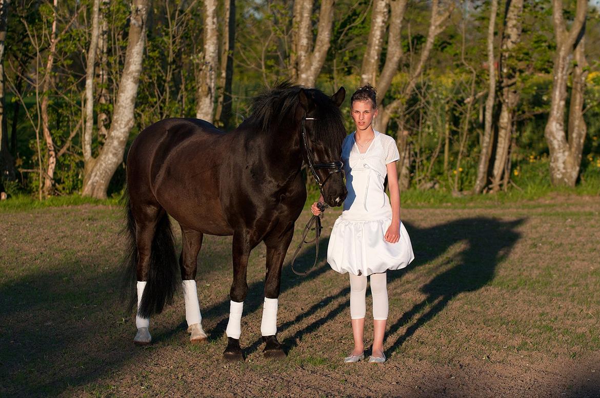 Anden særlig race Whisky<3 - Tak for kigget:)

Konfirmation 2011 billede 19