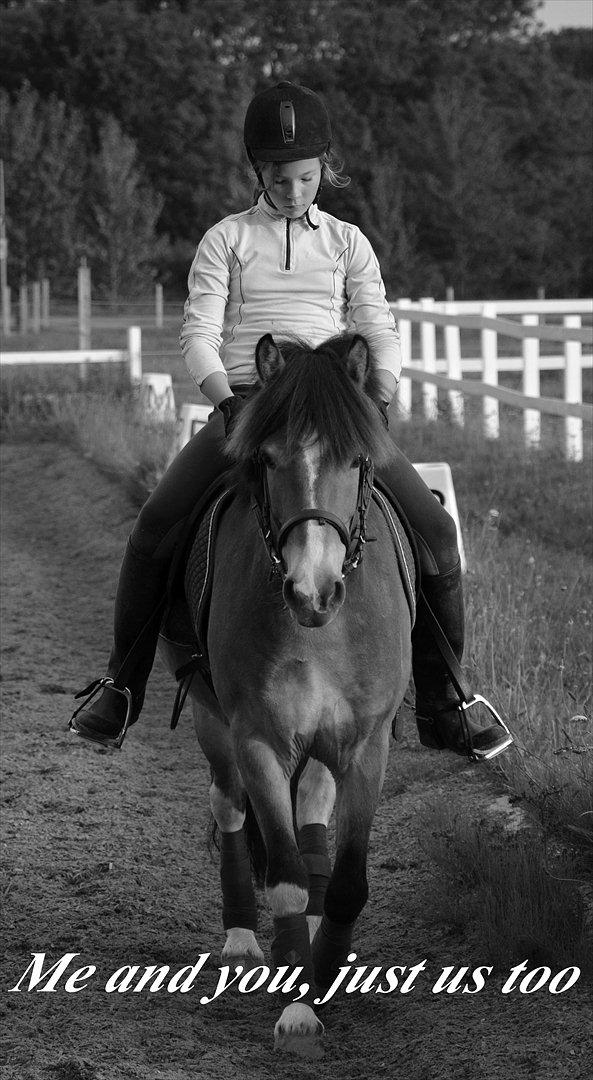 Anden særlig race Fernando billede 10