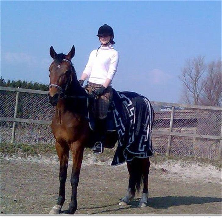 Traver Princess billede 1