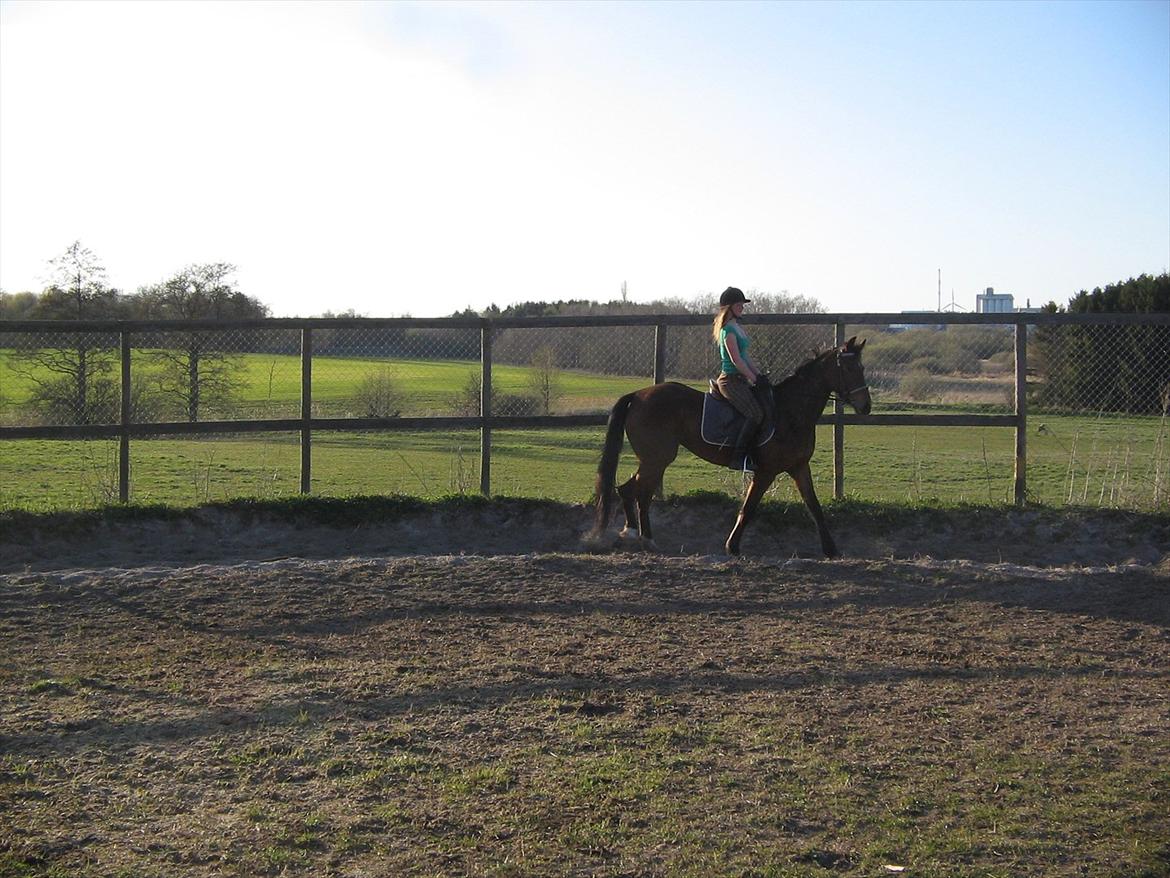 Traver Princess billede 5