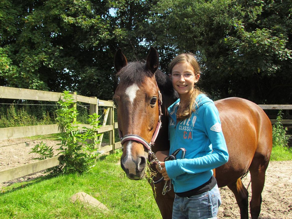 Anden særlig race Apollon - 14 billede 14