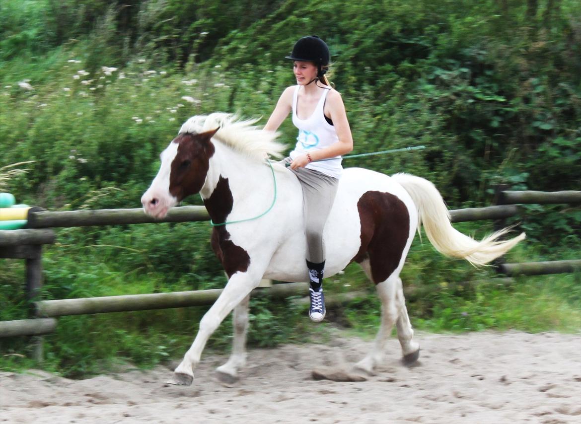 Pinto Blanding Gismoe - #15 Rider første gang i cordeo :D så stolt! foto:Line Holst Petersen med mit kamera :D billede 15