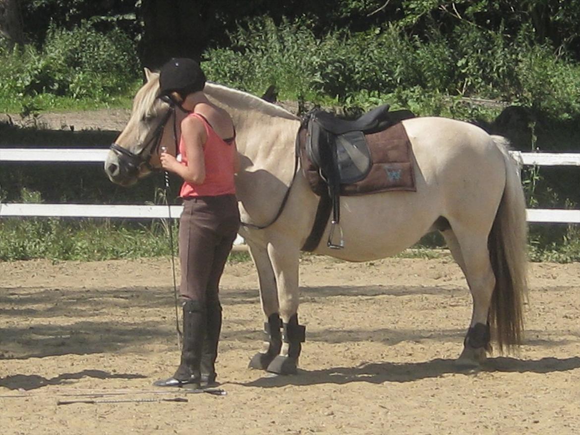 Fjordhest Galla Gudenå - Ridelejr 2011 : Mc Lean
Foto - Henriette billede 14