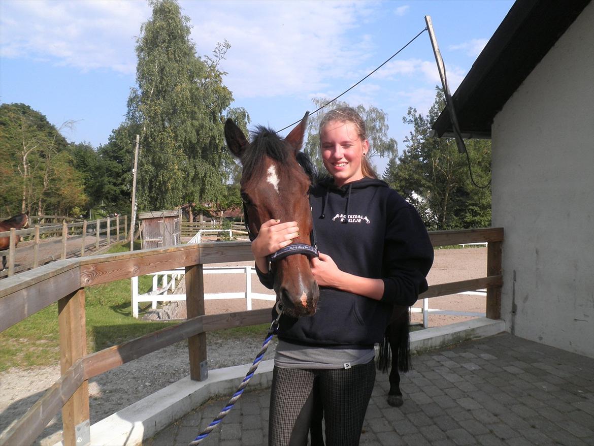 Irsk Sportspony Dundee Love you forever <3 - Ja, jeg er pæn! :D billede 12