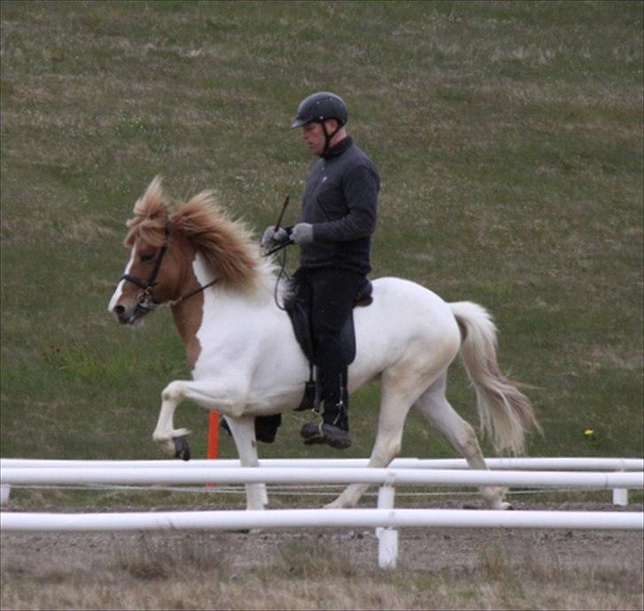 Islænder Sýn frá Ketilsstöðum - Til kåring :o) billede 10