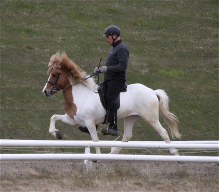 Islænder Sýn frá Ketilsstöðum - Til kåring :o)  billede 11