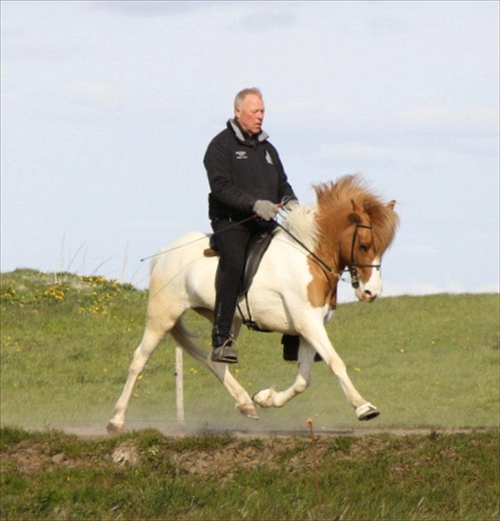 Islænder Sýn frá Ketilsstöðum - Trav billede 16
