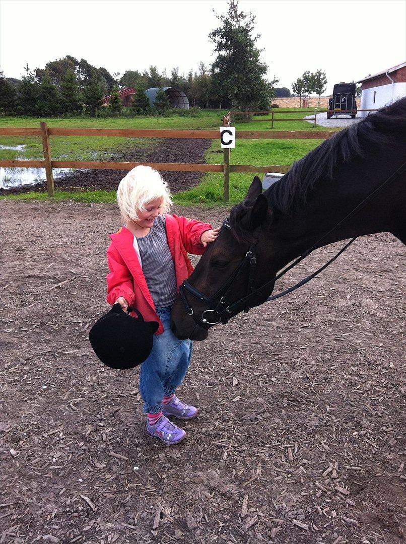 New Forest Holmens Sir Bastian *Solgt* - Han er bare såå kær !!! <3<3 billede 18