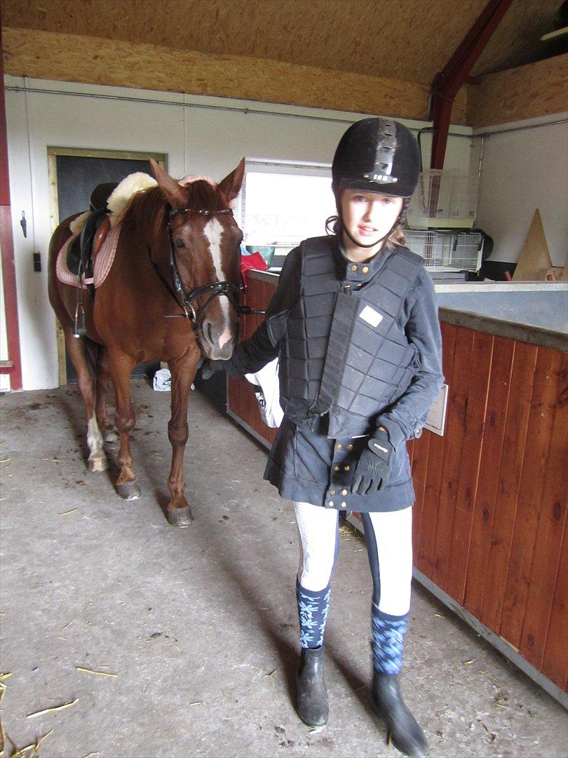 Hollandsk Varmblod | Lariemke | - på vej ud til ridebanen  billede 15