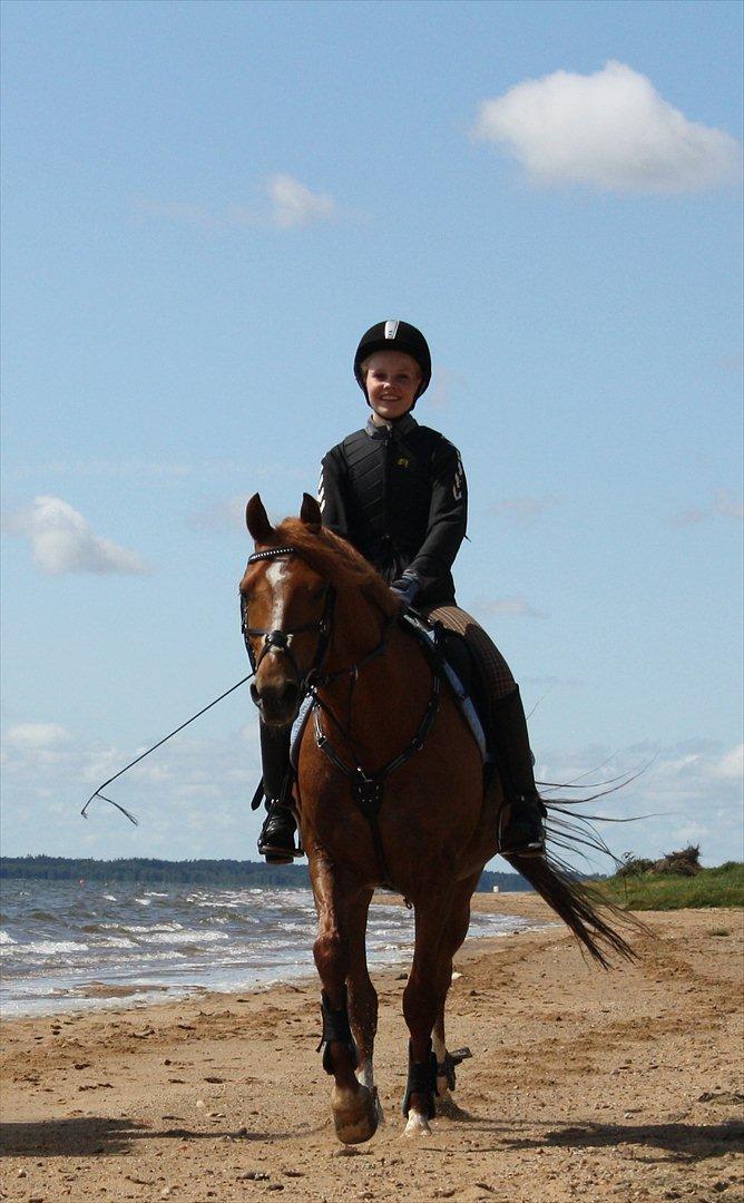 DSP BOMGAARDENS ANDIAMO B-PONY - Min stjerne og jeg på stranden  billede 9