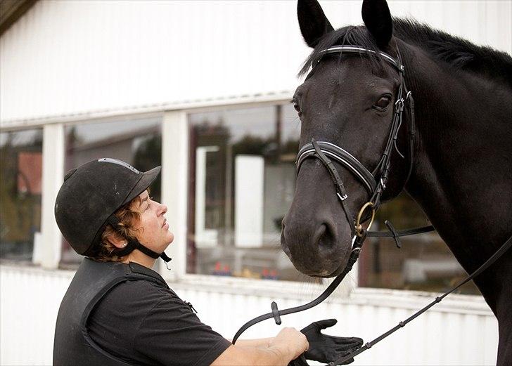 Anden særlig race Charmeur billede 7