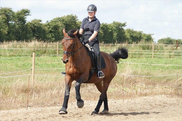 Oldenborg Fleur (Olga) - Middelgalop
træning d. 18 maj 2011 billede 2