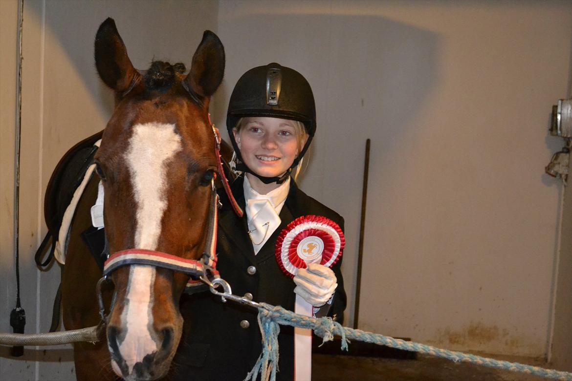 Hollandsk Sportspony Uptown Girl - Våd vinderpony! :-*
Du dejlig<3 billede 3