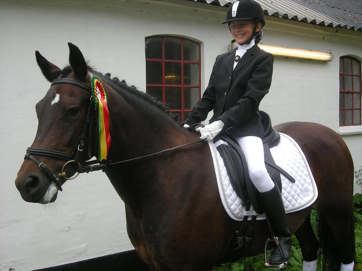 New Forest Hamborgs Fuchsia - Vi vandt en 3. plads med 65,147% til mit første stævne d. 27/8 
 billede 4