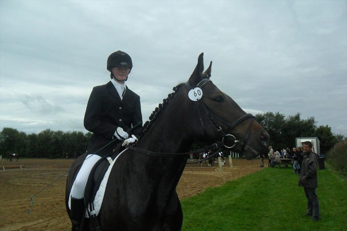 Anden særlig race Houmgaards Shakira<3. - Til stævne på Grk. billede 12