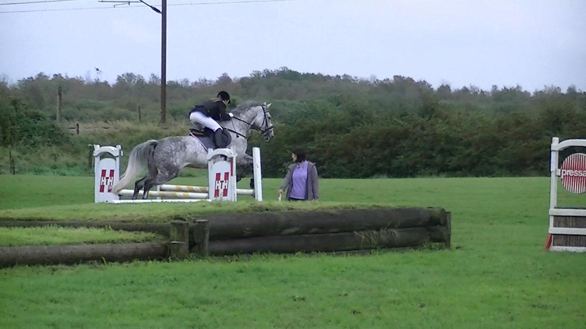 Dansk Varmblod Artimis A' Fenris - Vores første springstævne trk LD & LC 2x 2.plads billede 16