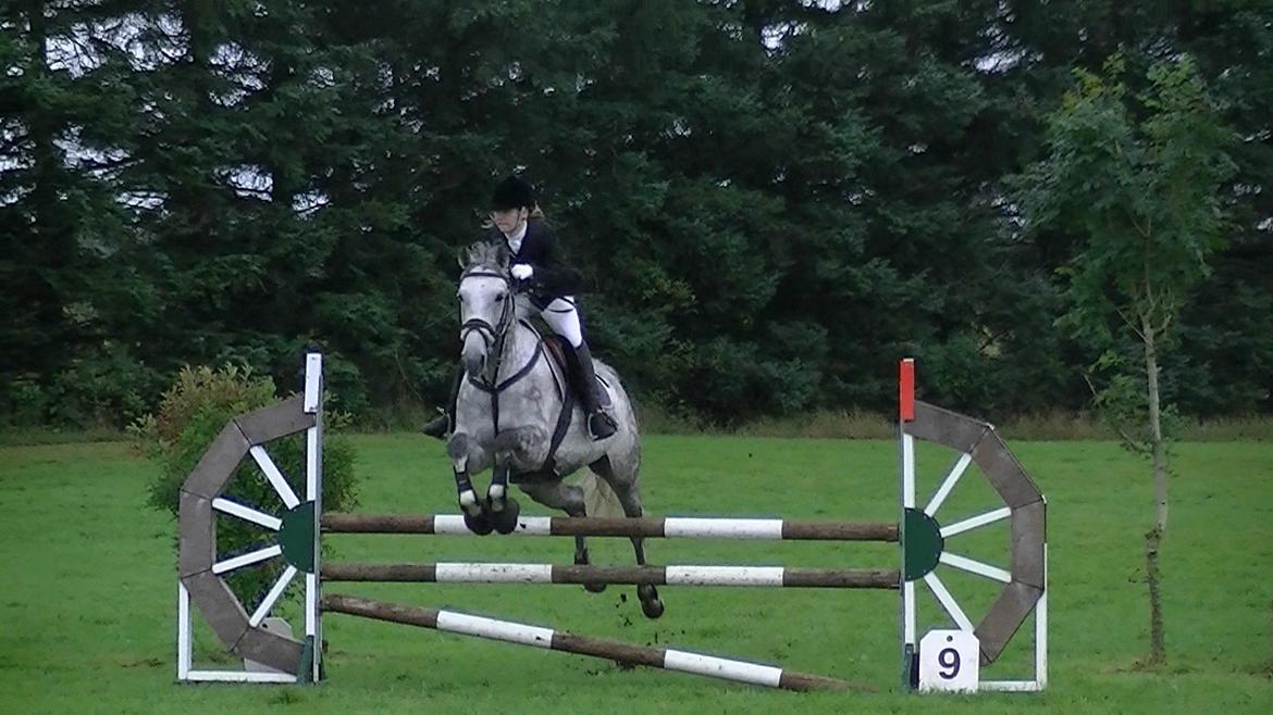 Dansk Varmblod Artimis A' Fenris - Vores første springstævne trk LD & LC 2x 2.plads billede 17