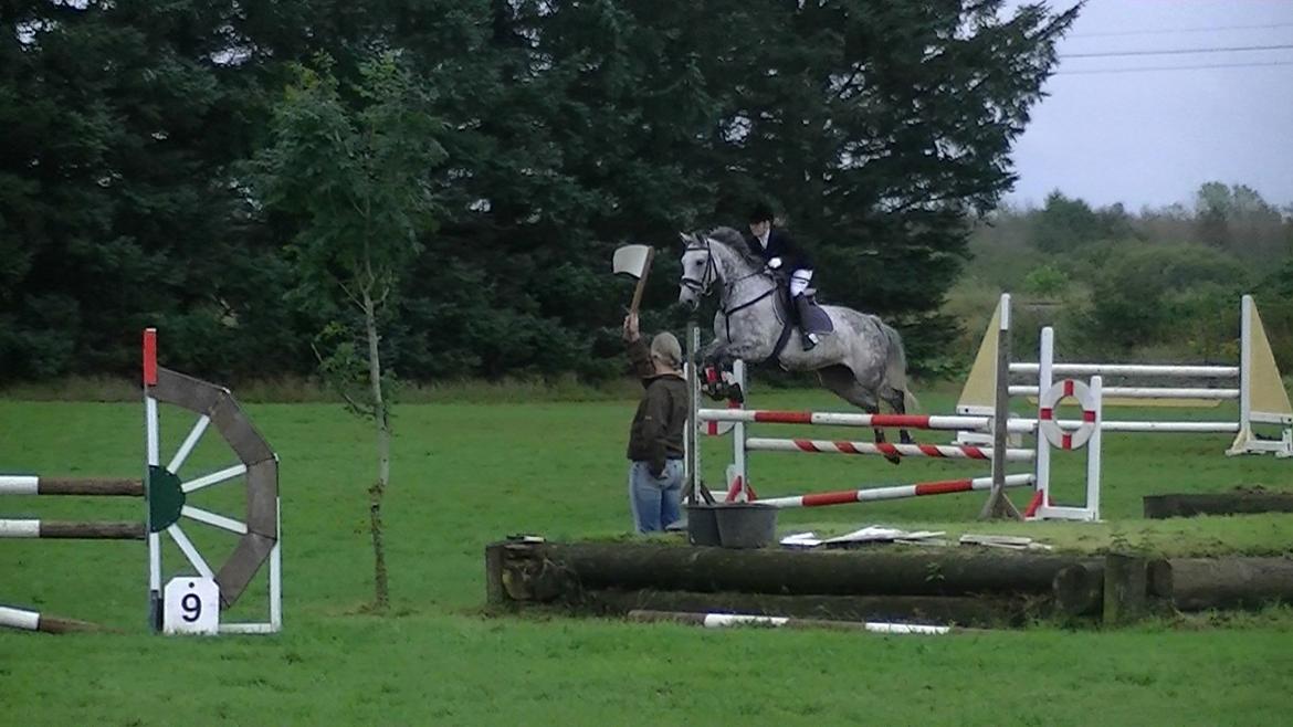 Dansk Varmblod Artimis A' Fenris - Vores første springstævne trk LD & LC 2x 2.plads billede 18