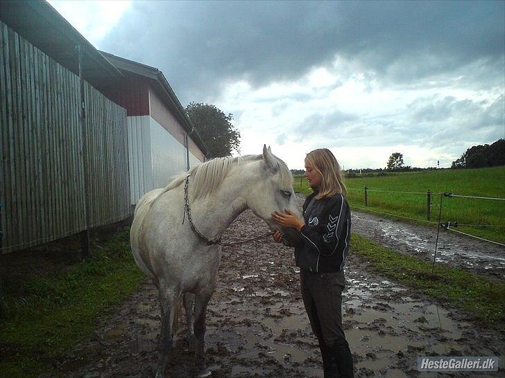 Connemara Wilma (tilbage ved ejer) - Årrh Wilma, du er savnet! <3 billede 2