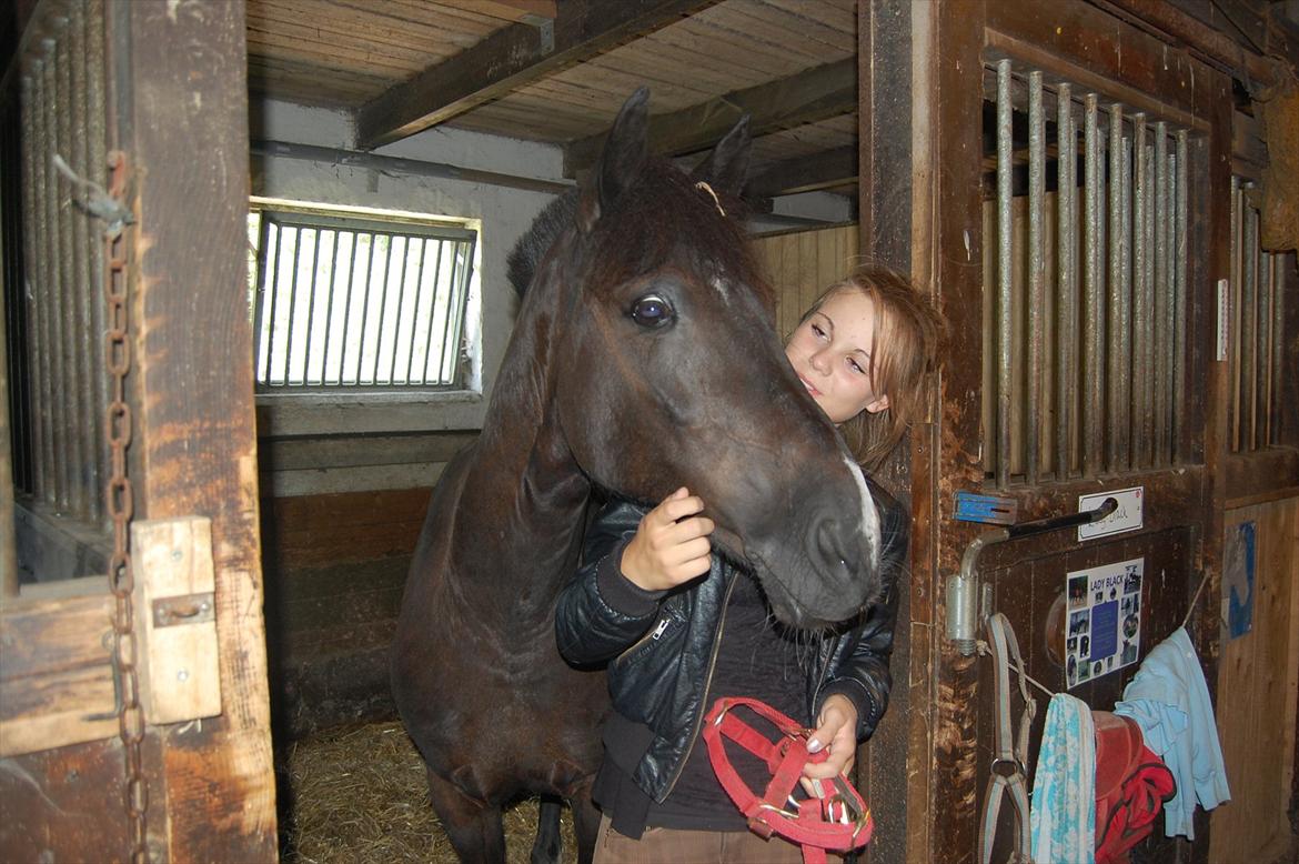 Hollandsk Sportspony Lady Black - 2) jeg elsker dig pony!
*NYT*!
foto: julie rajchman!<3 billede 2