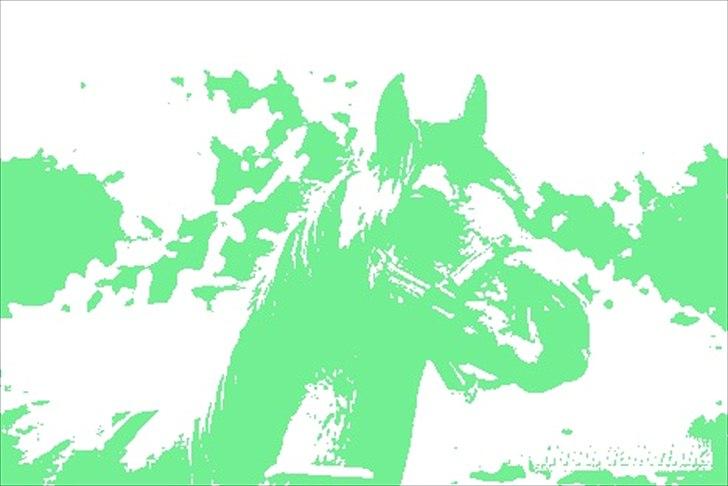 Anden særlig race Cheval Le Anton billede 7