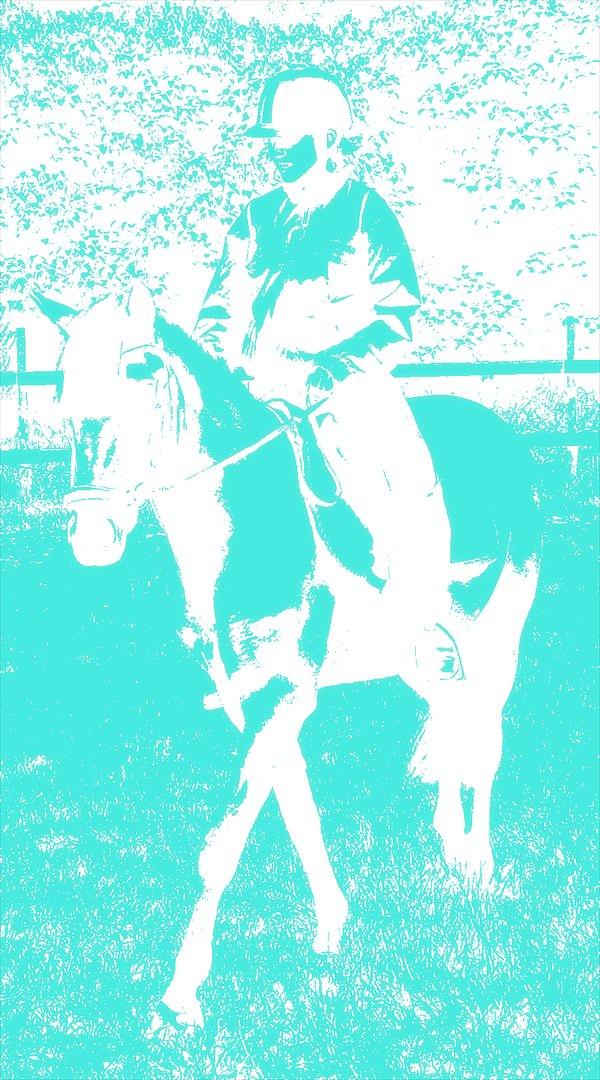 Anden særlig race Cheval Le Anton billede 8