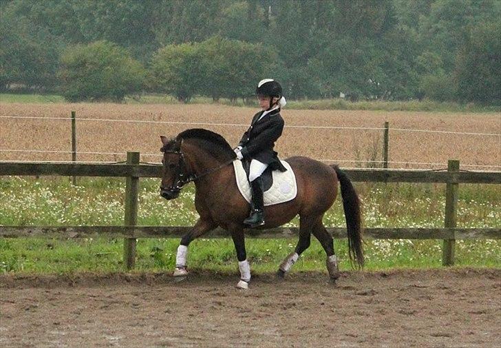 Anden særlig race | MISCHA - SORRY KVALITET! billede 10