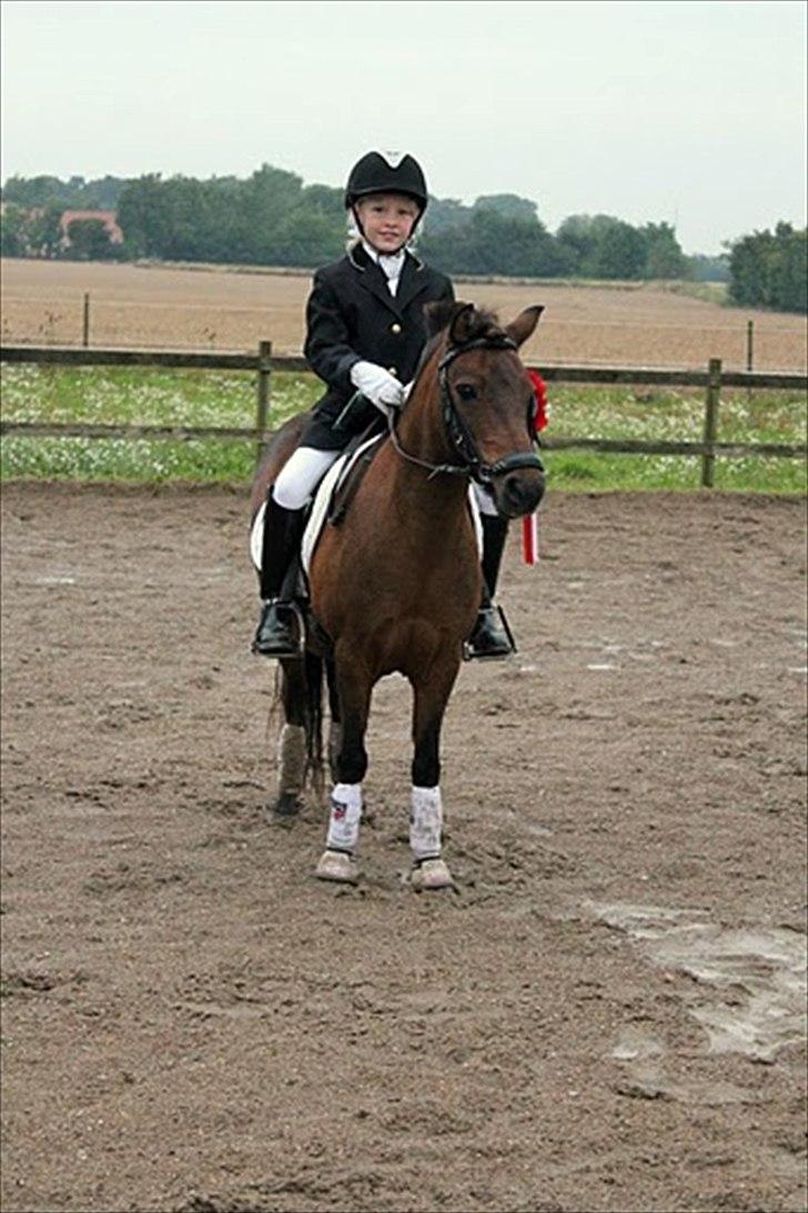 Anden særlig race | MISCHA - SORRY KVALITET! billede 2