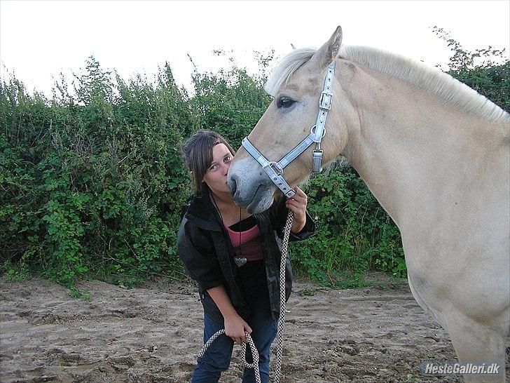 Fjordhest Pepsi Pony - lPeps <3l - 2) Dig vil jeg ikke bytte med noget andet på jorden <33 Dig og Mig foraltid Basse <3 Foto: Min mor :) billede 2