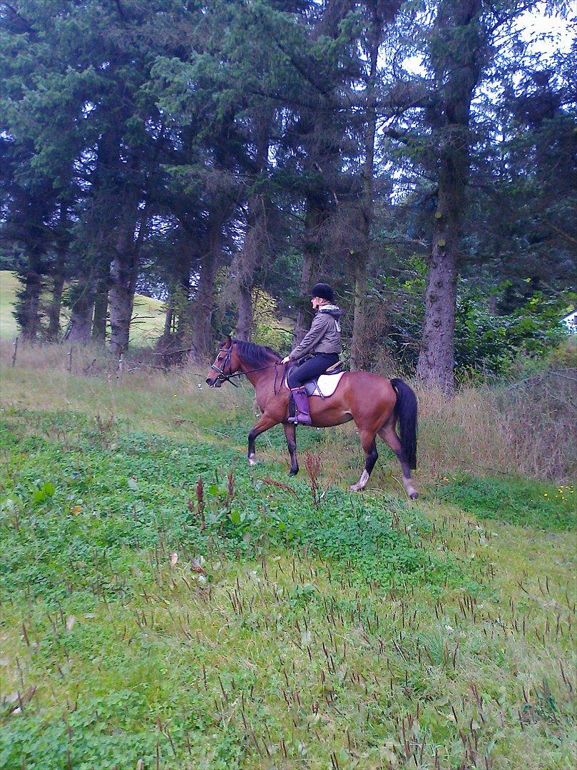 Anden særlig race lotte billede 3