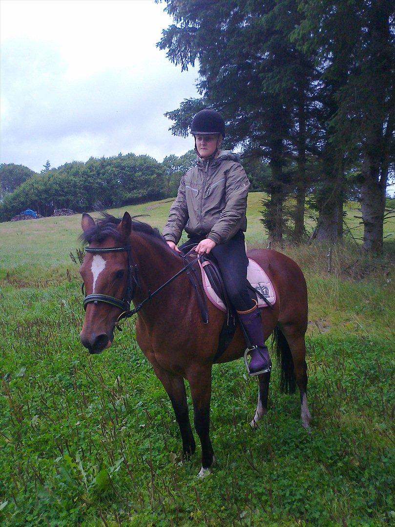 Anden særlig race lotte billede 2