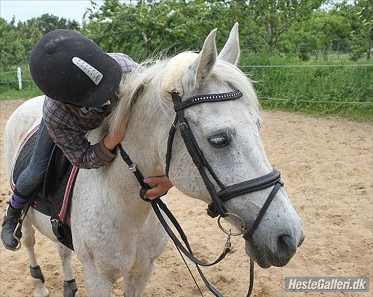 Anden særlig race | Silas <3. - You make my day ♥ | Foto: Stine Møller. billede 4