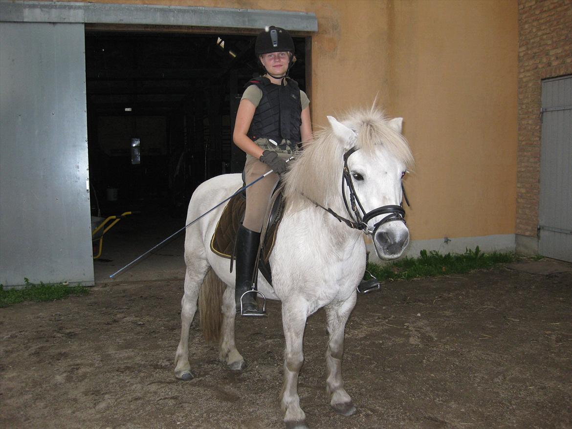 Anden særlig race Sally billede 5