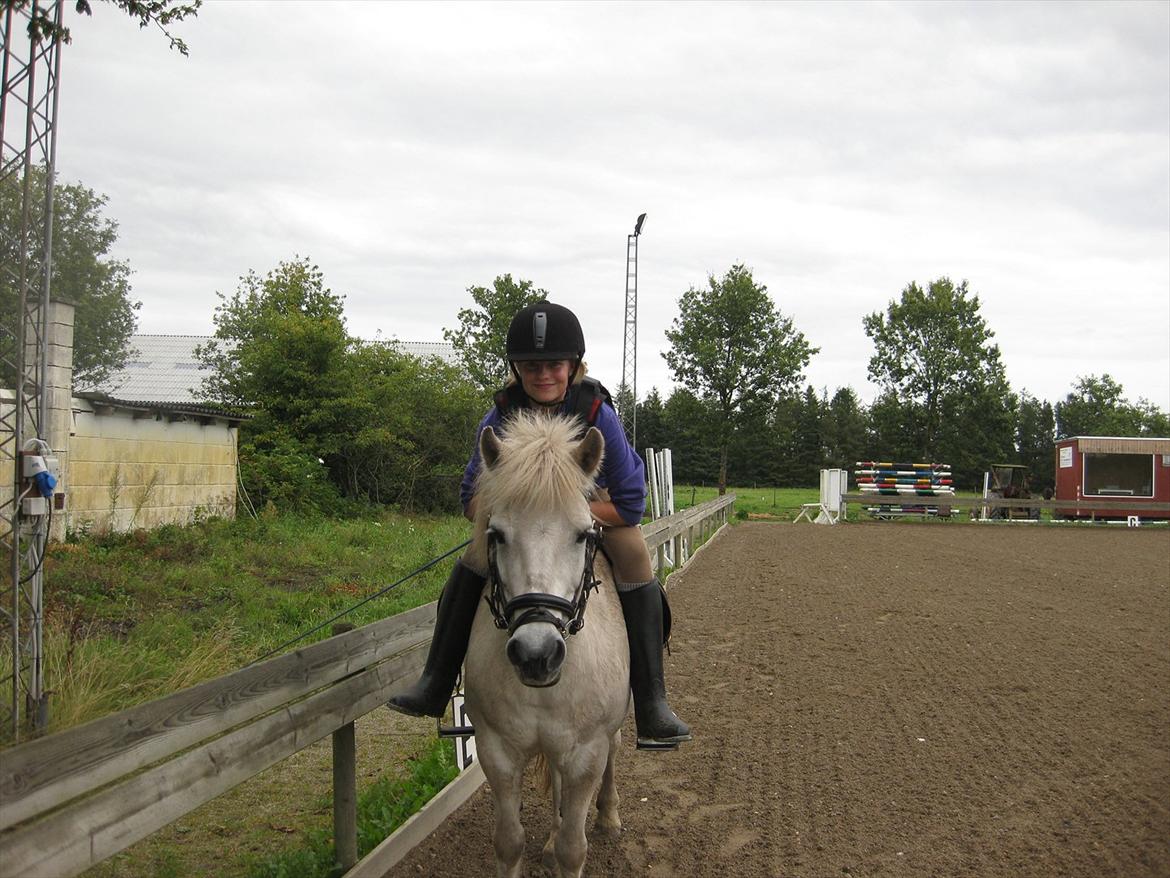 Anden særlig race Sally billede 6