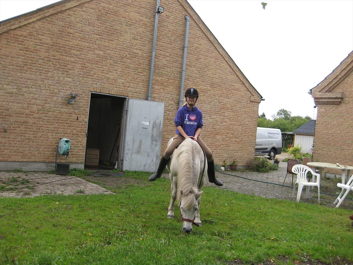 Anden særlig race Sally billede 7