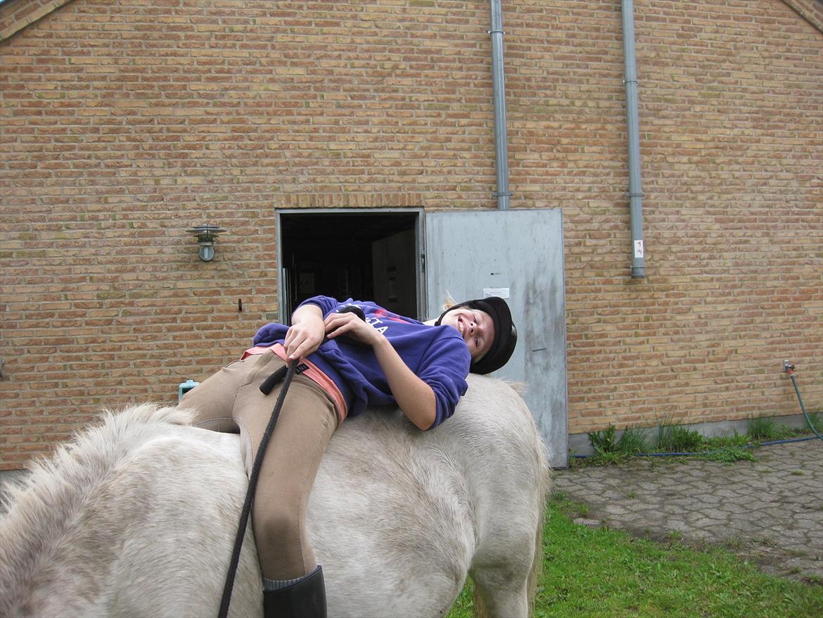 Anden særlig race Sally billede 8